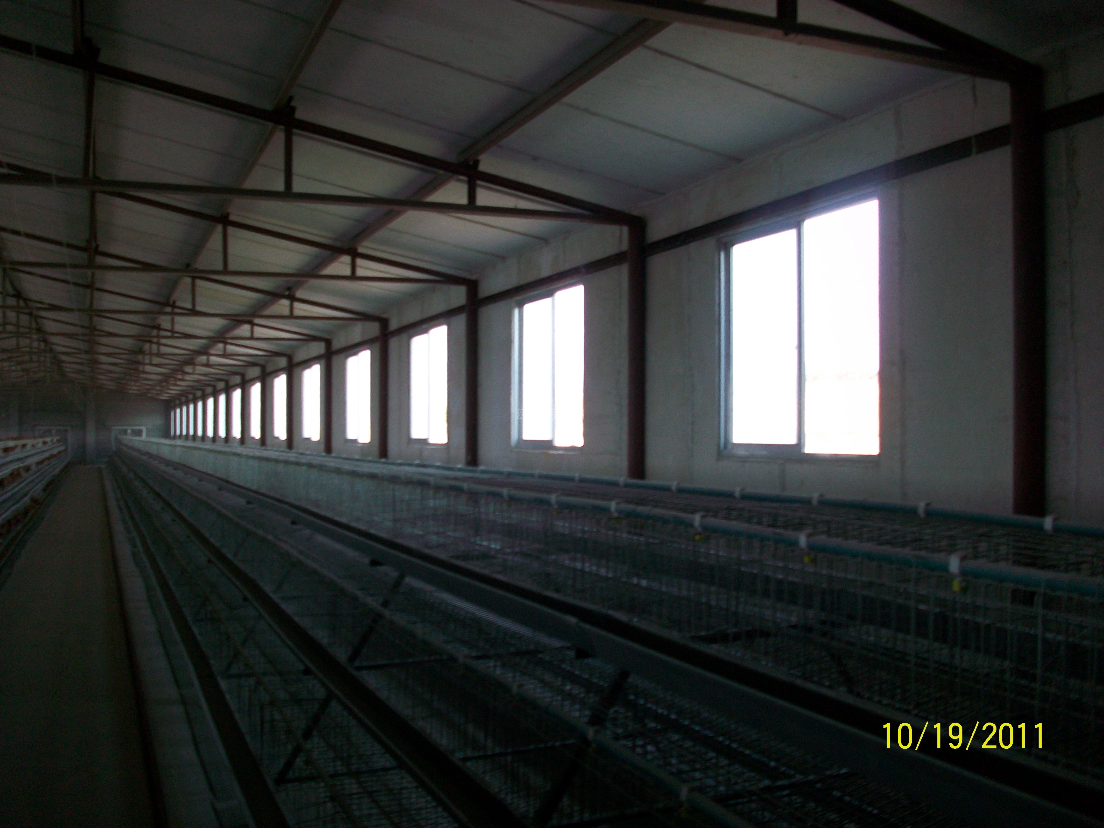 Ƭ 082.jpg