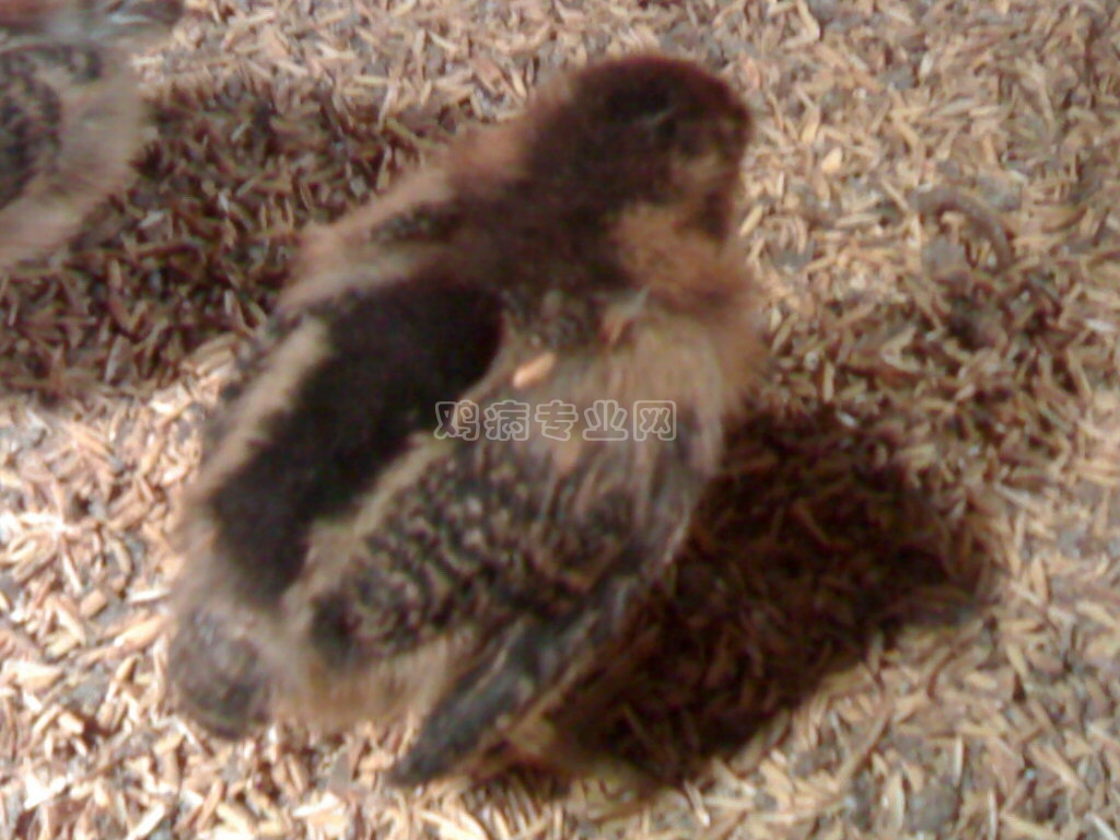 20111101103.jpg