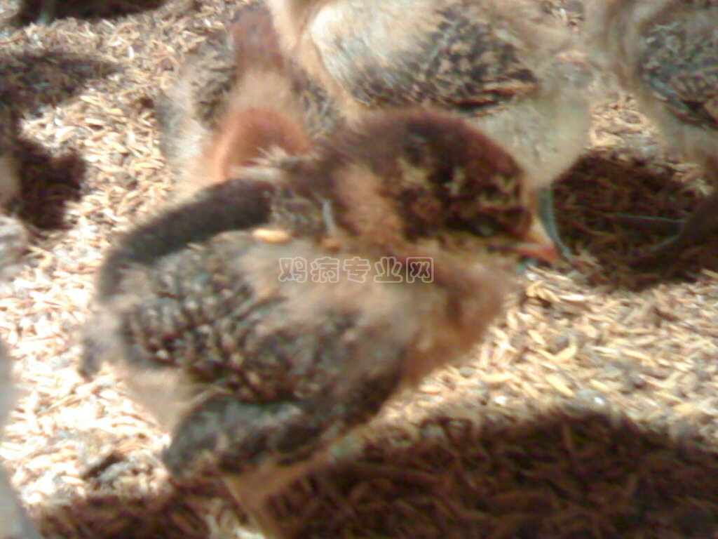 20111101101.jpg