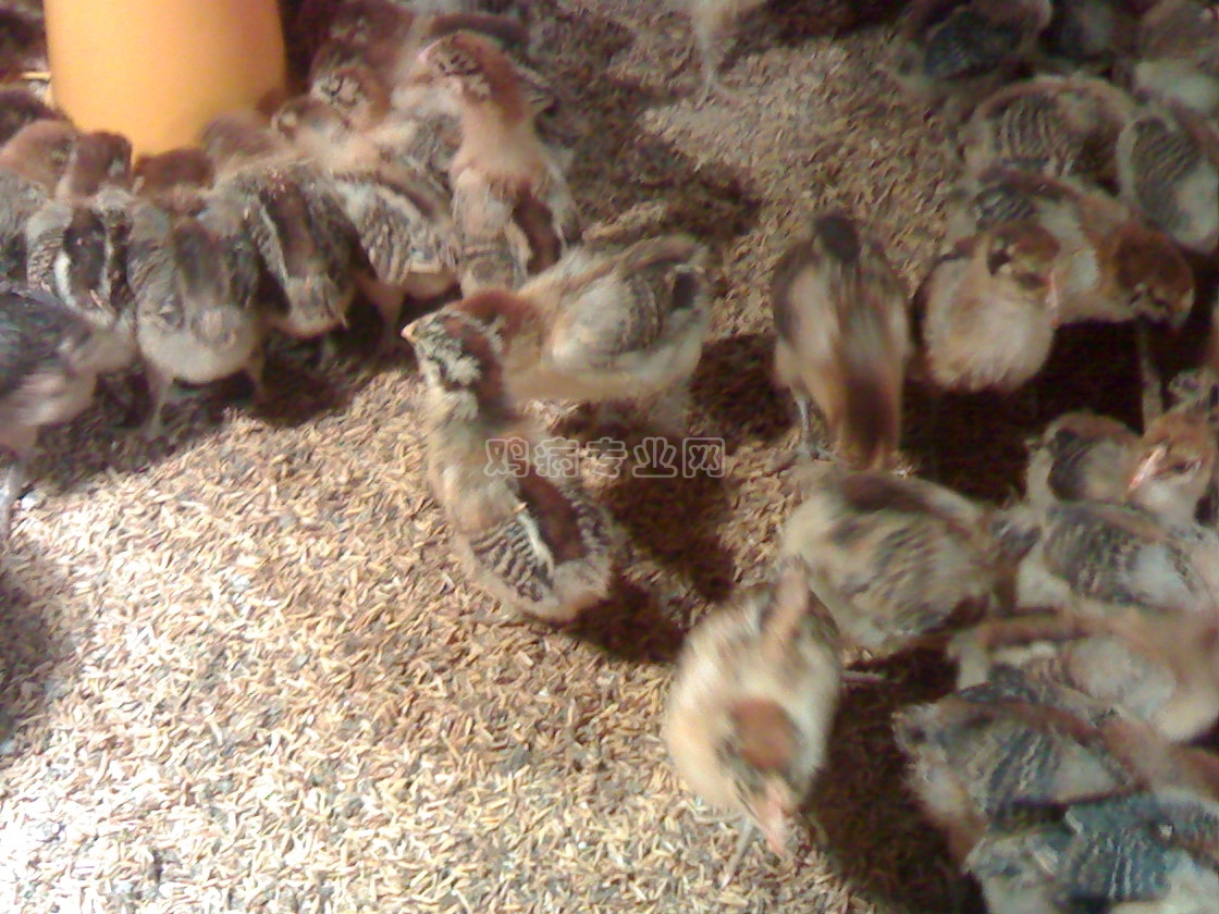 20111101097.jpg