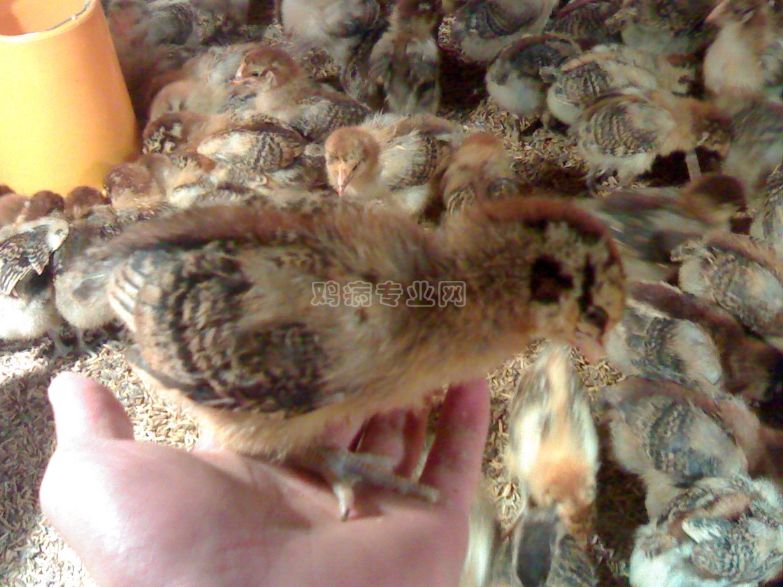 20111101099.jpg