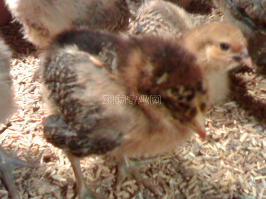 20111101102.jpg