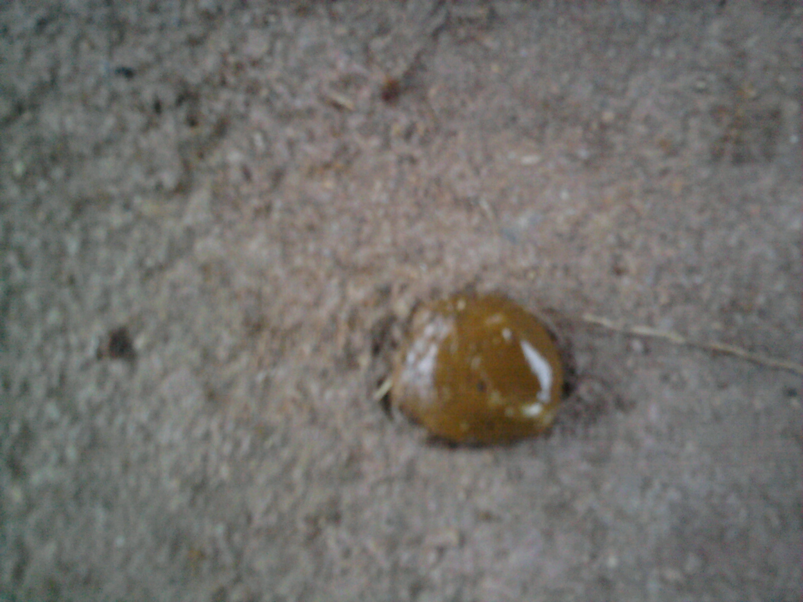 Ƭ0210.jpg