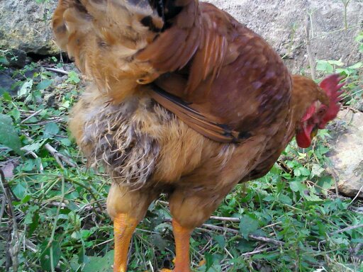 1322010682946.jpg