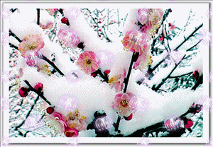 ѩ÷.gif