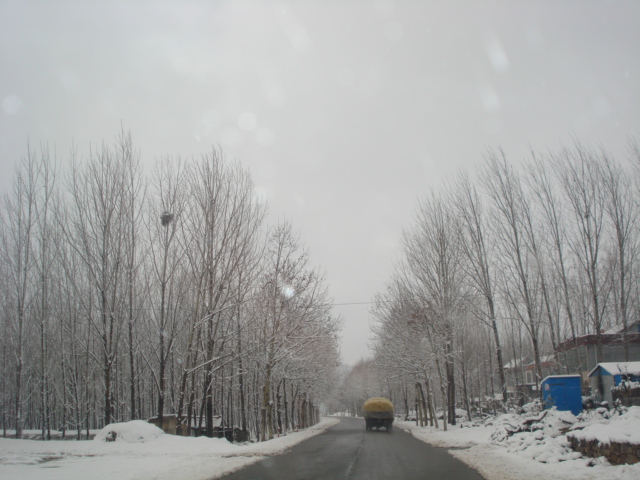 DSC03272.JPG