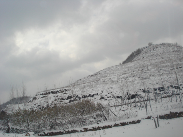 DSC03275.JPG