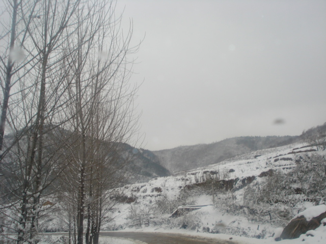 DSC03277.JPG