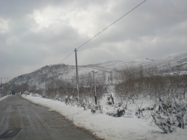 DSC03276.JPG