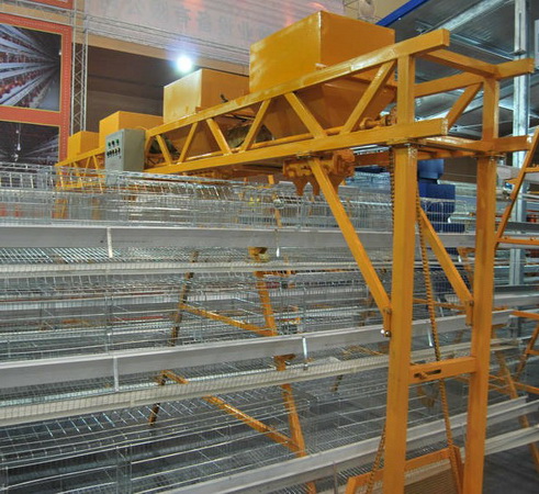 1-11041G02203.jpg