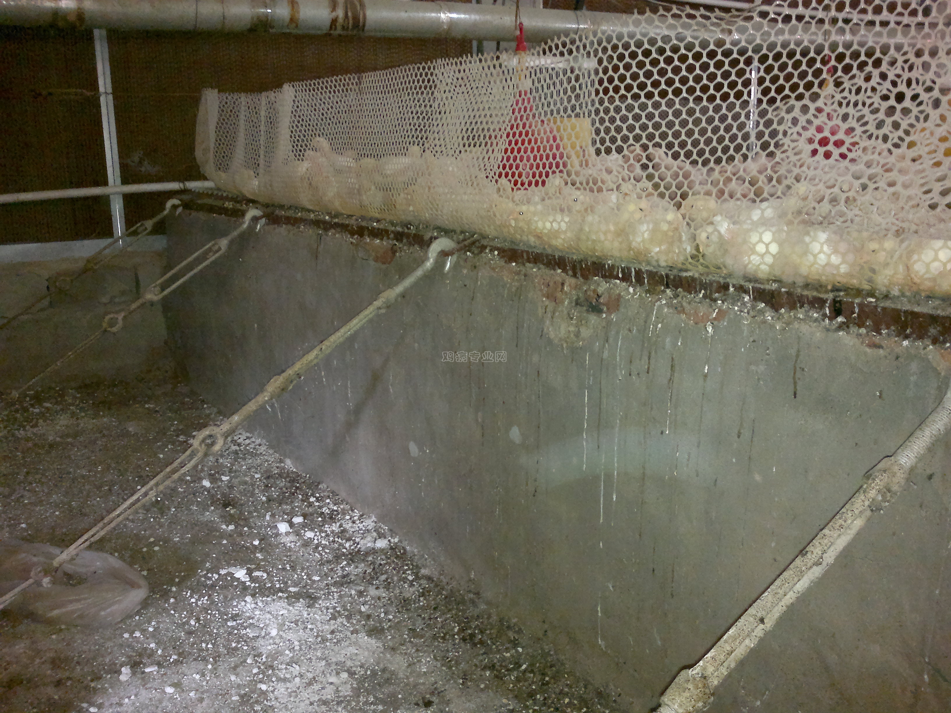 20111021063.jpg