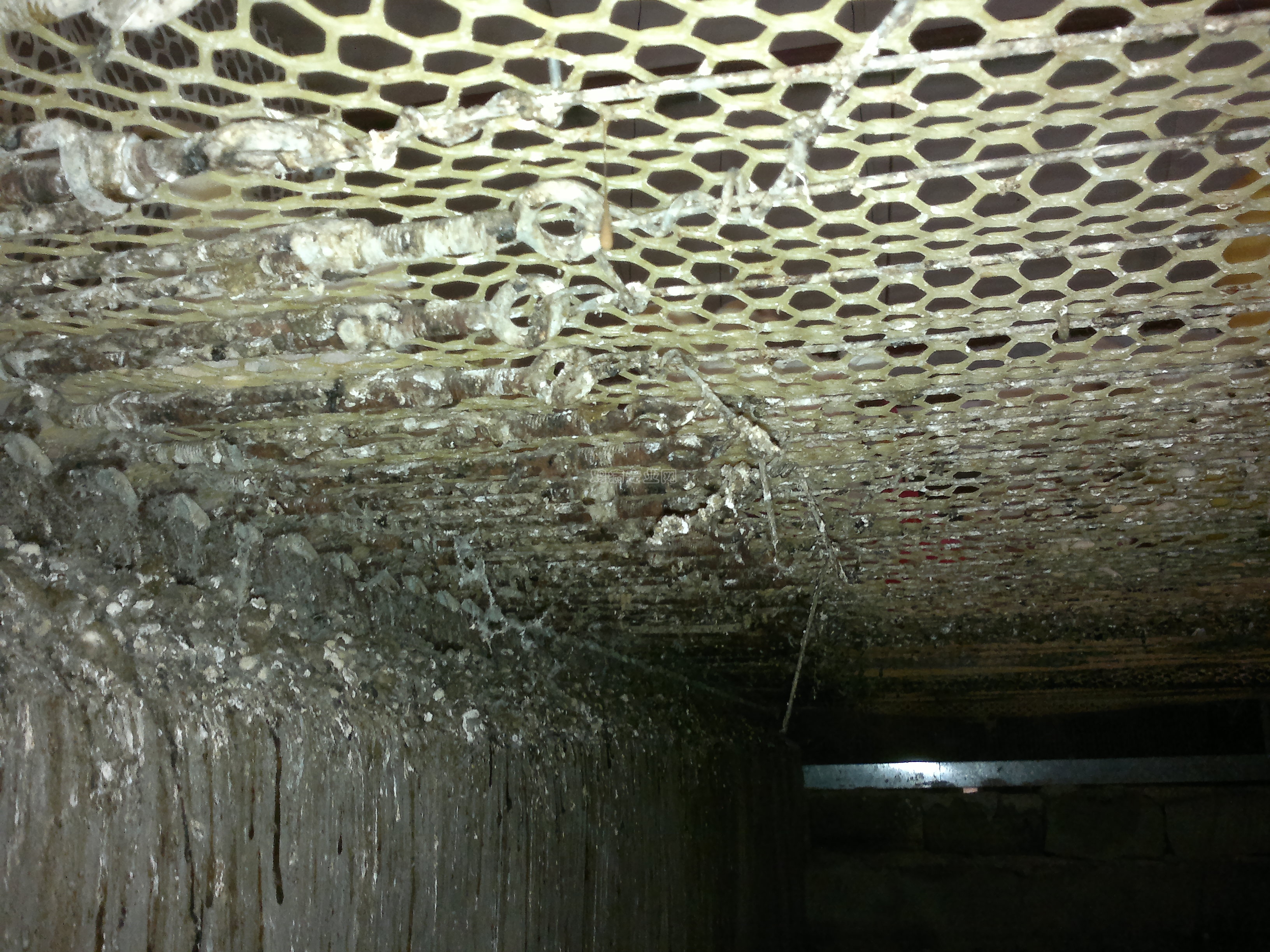 20111021064.jpg