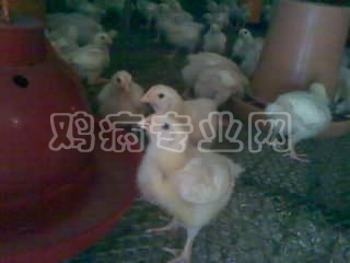 111112002.jpg