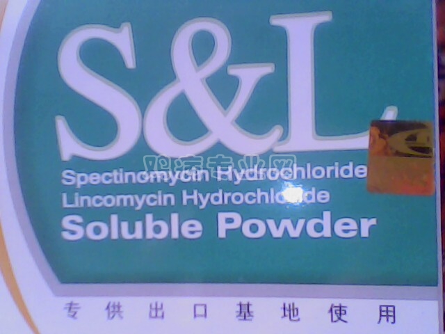 IMG0201A.jpg