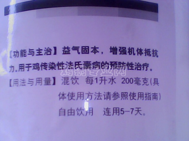 IMG0205A.jpg