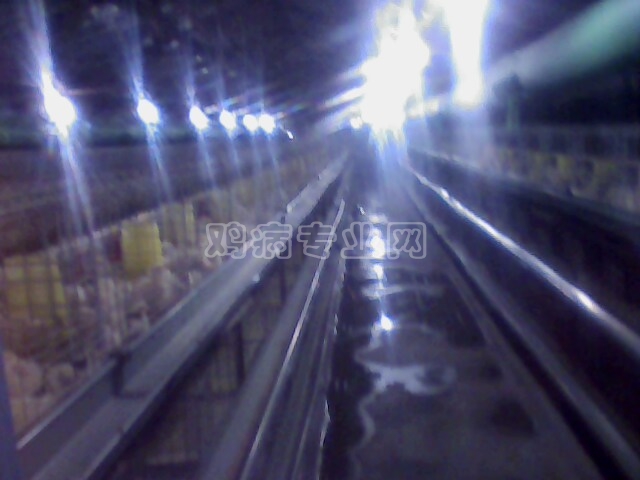 IMG0216A.jpg