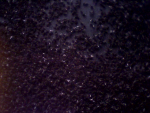 IMG0230A.jpg