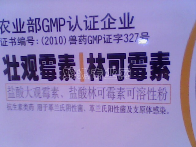 IMG0200A.jpg