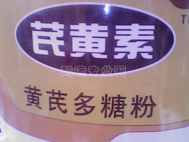IMG0203A.jpg