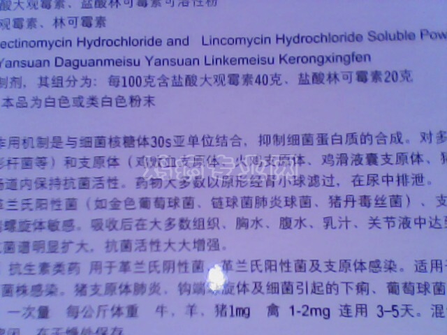 IMG0202A.jpg