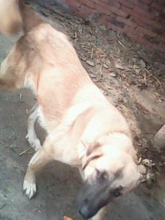 IMG0132A.jpg