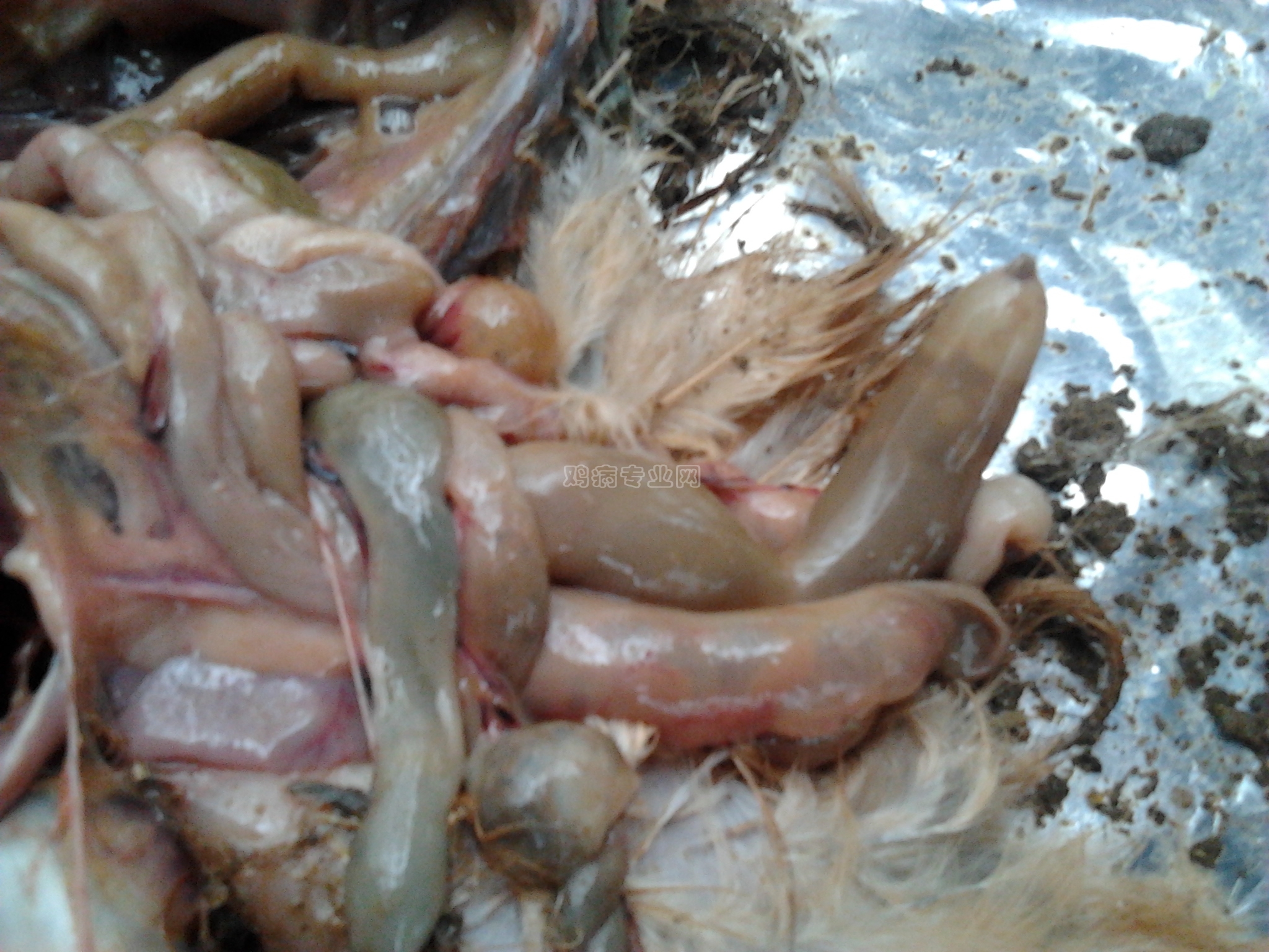 2011-11-07 09.48.13.jpg