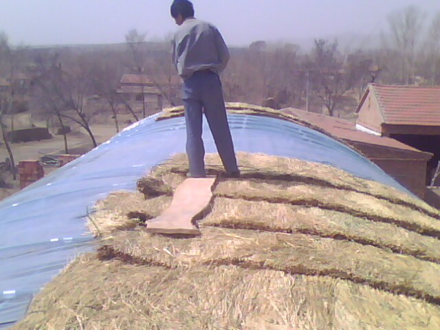 IMG0369A.jpg