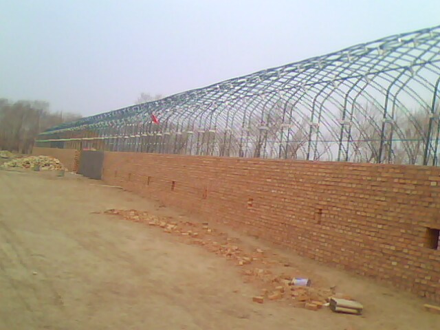 IMG0355A.jpg