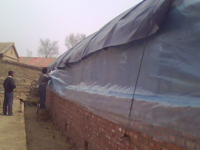 IMG0374A.jpg