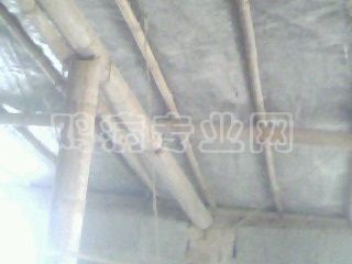 IMG0224A.jpg