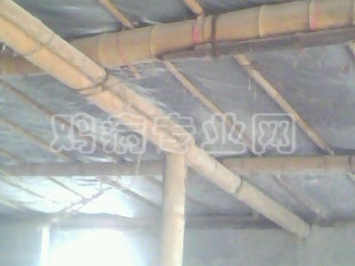 IMG0225A.jpg