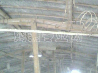 IMG0222A.jpg