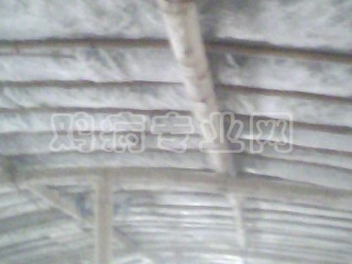 IMG0223A.jpg
