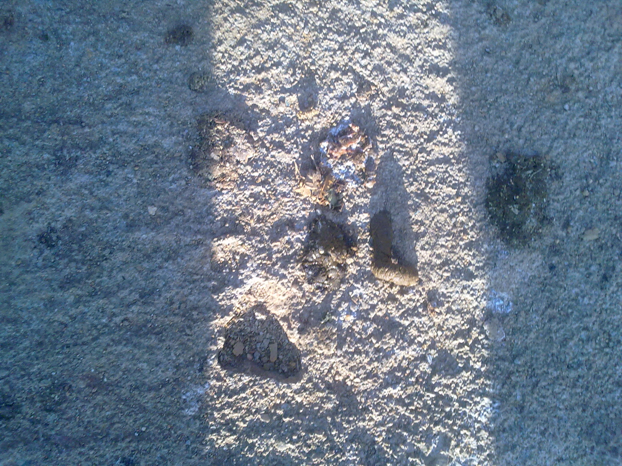 20111210486.jpg