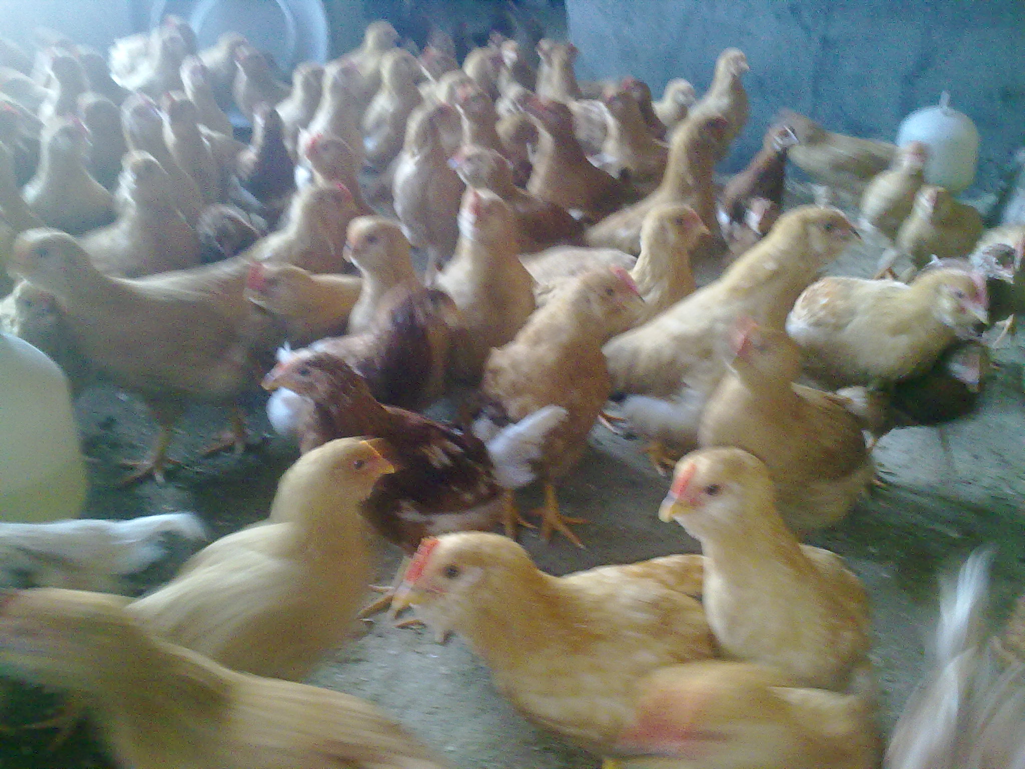 20111210490.jpg