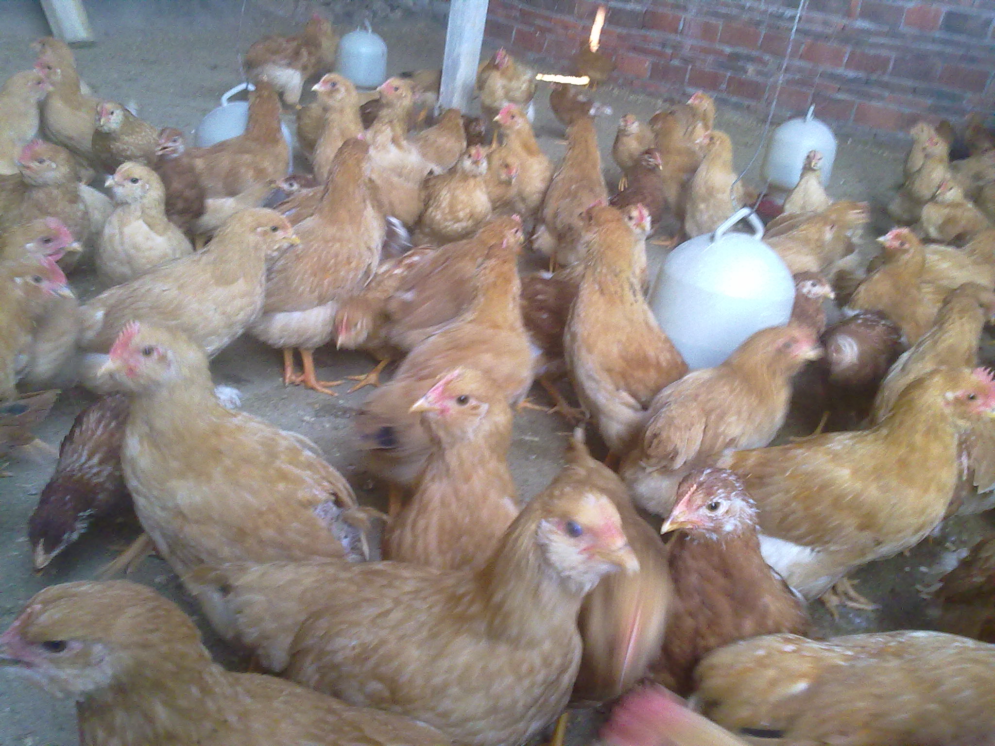 20111210492.jpg
