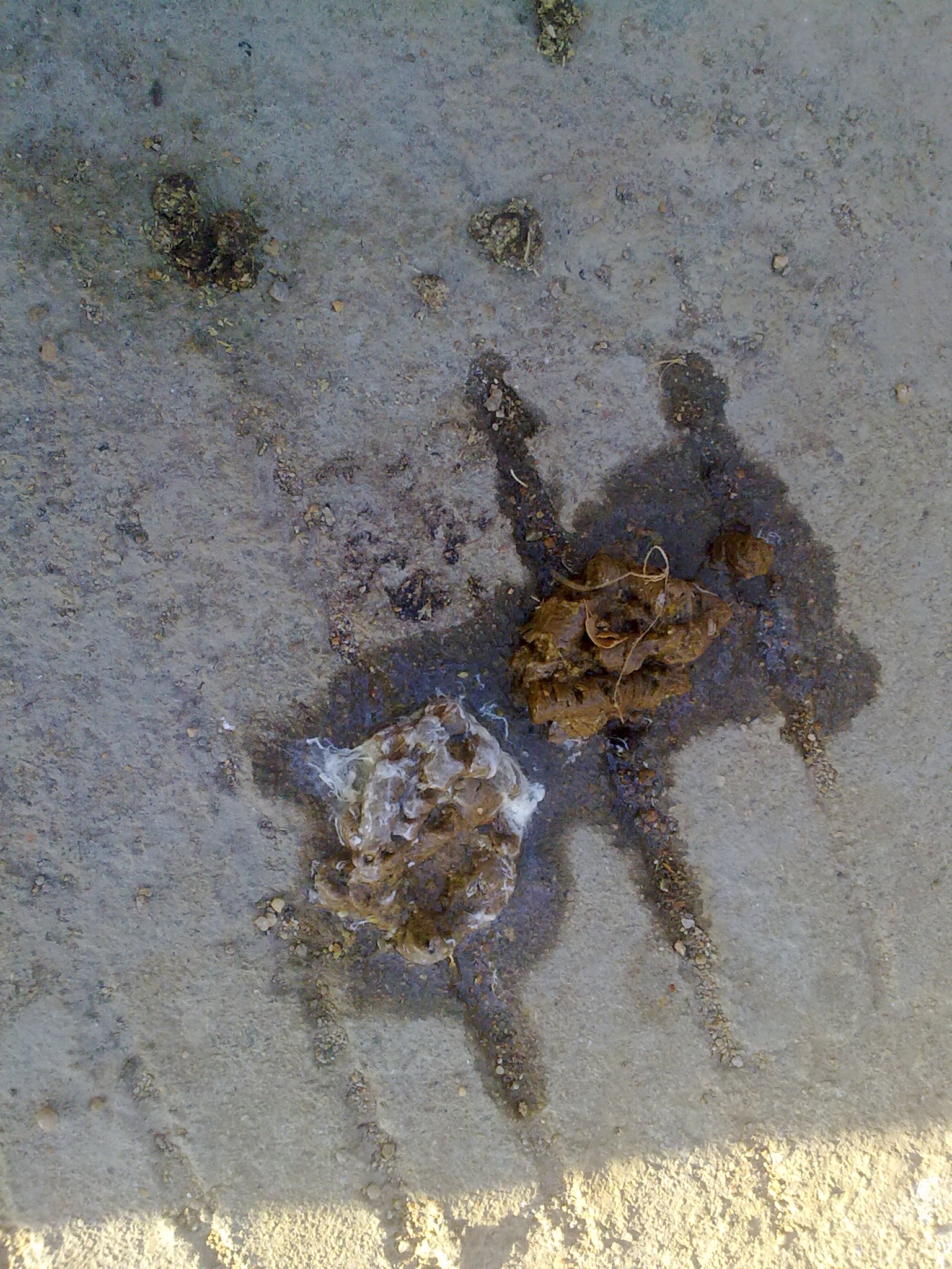 20111210473.jpg