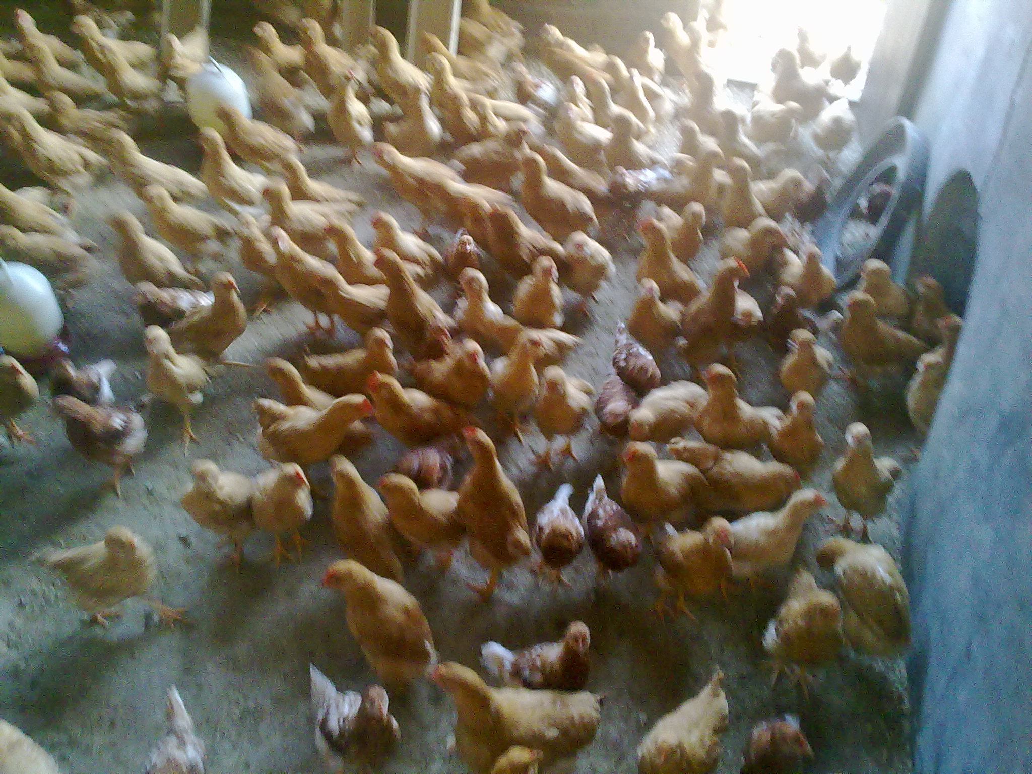 20111210488.jpg