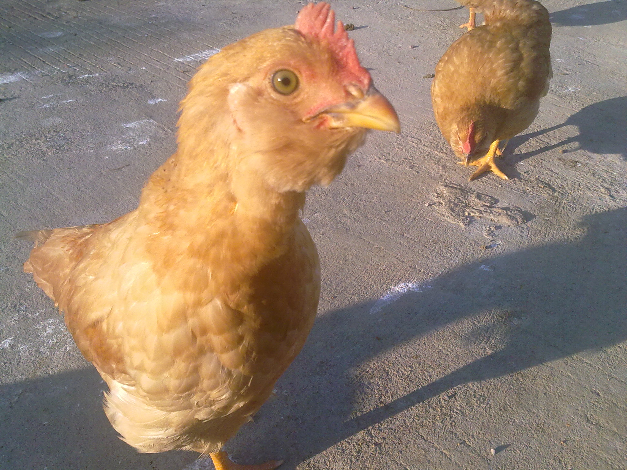 20111210485.jpg