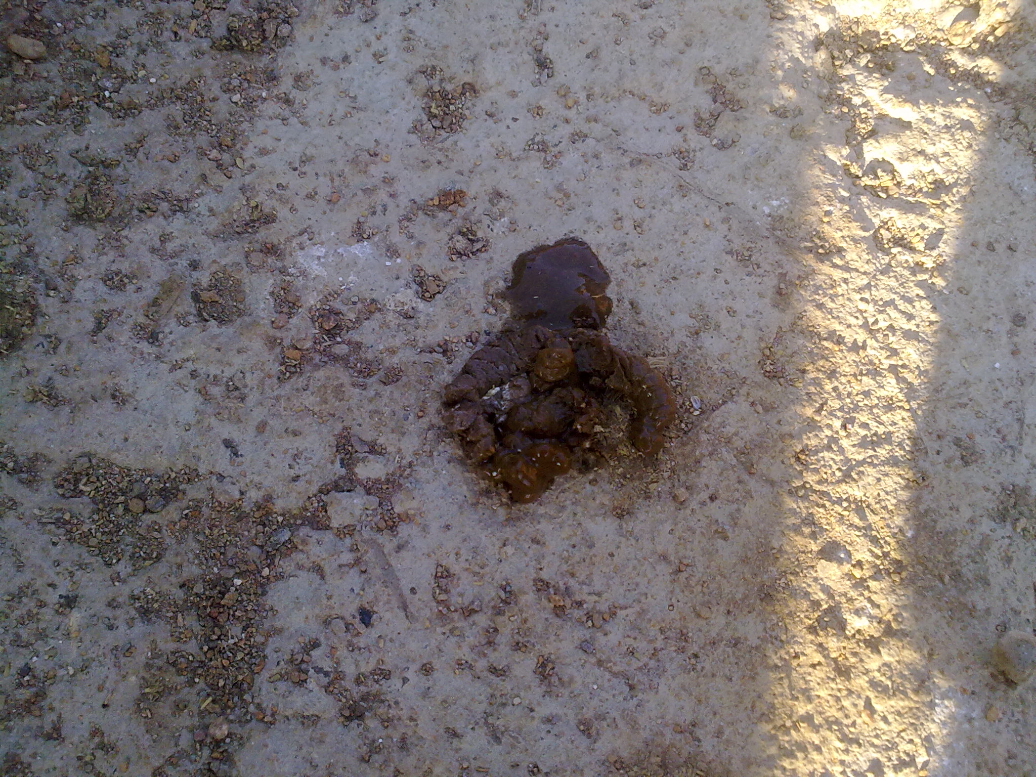 20111210495.jpg