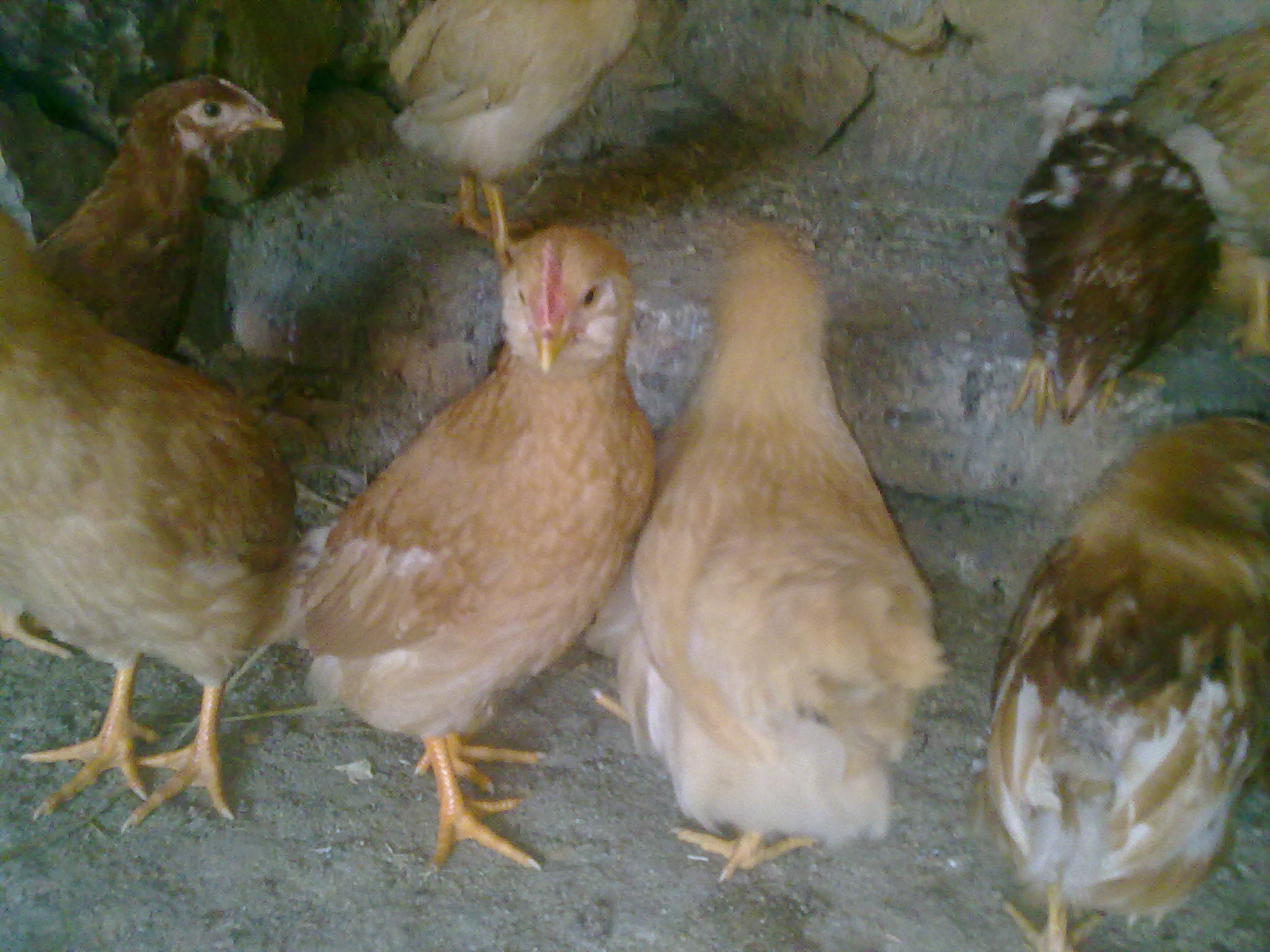 20111210494.jpg