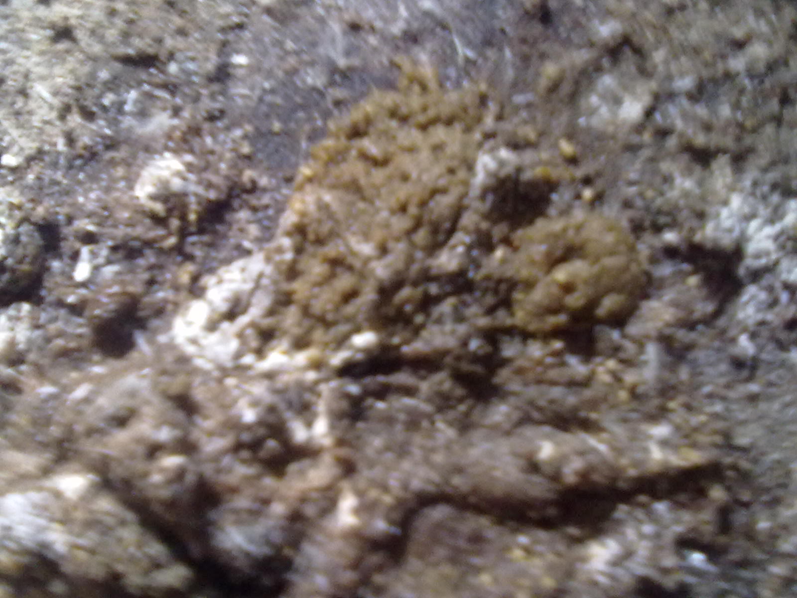 20111209343.jpg