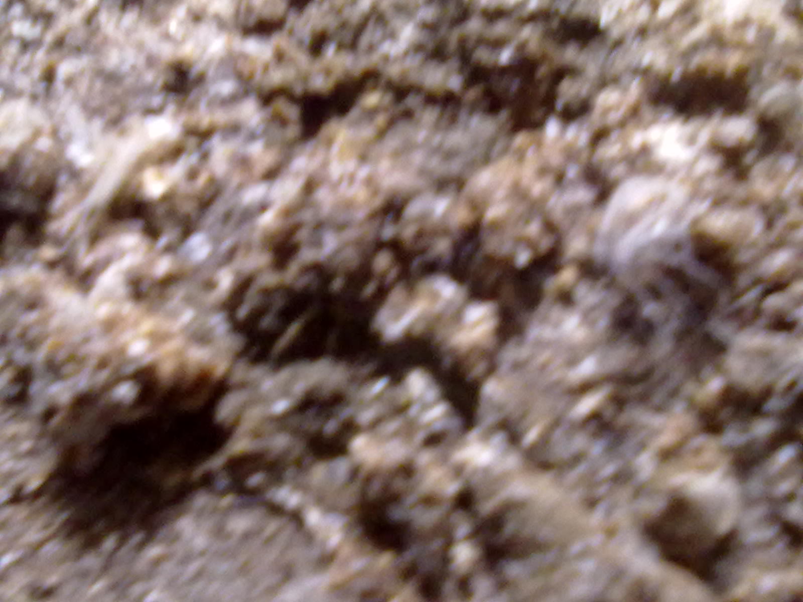 20111209337.jpg