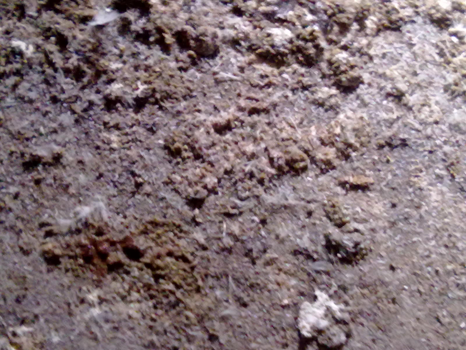 20111209336.jpg