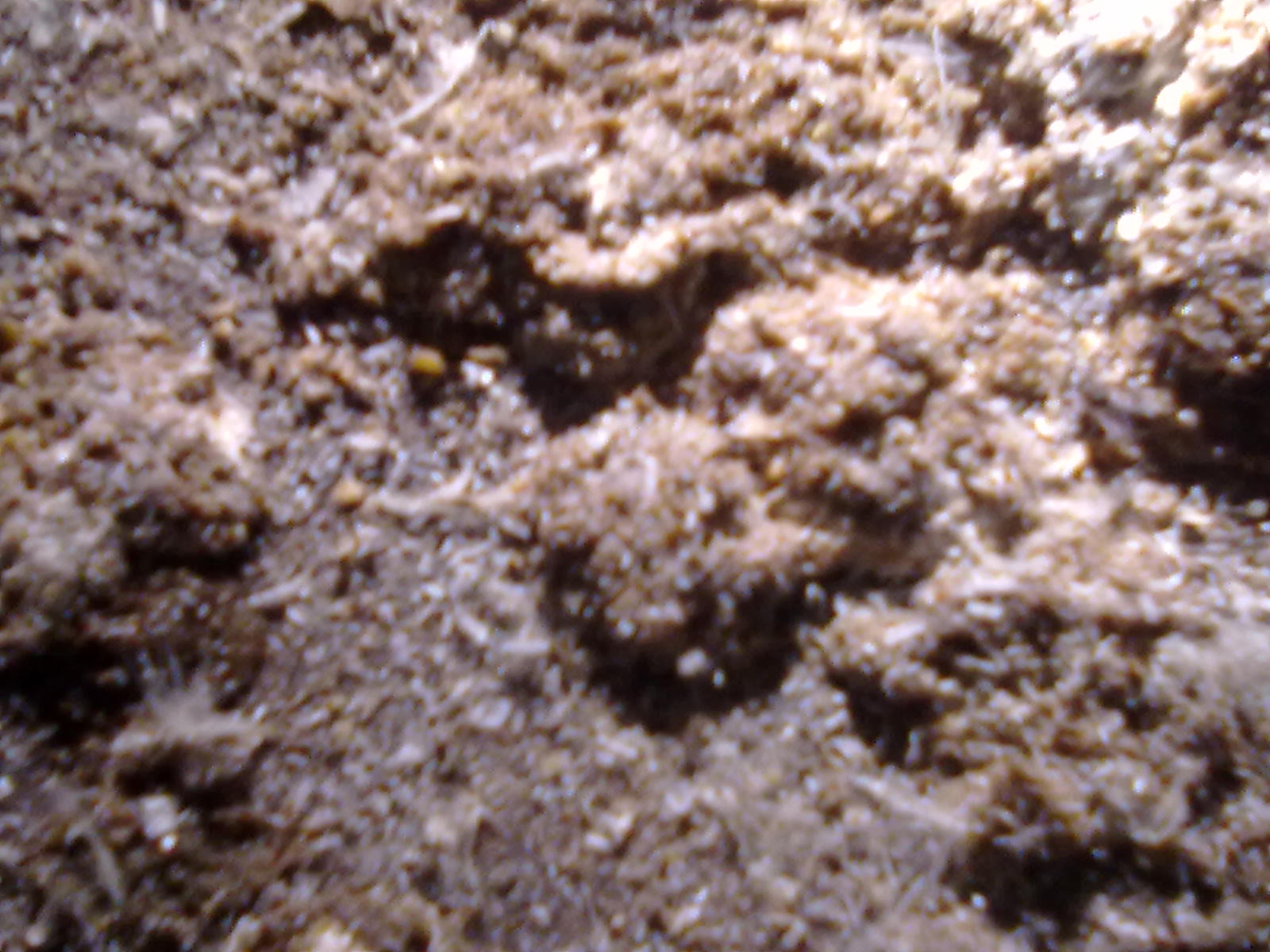 20111209339.jpg