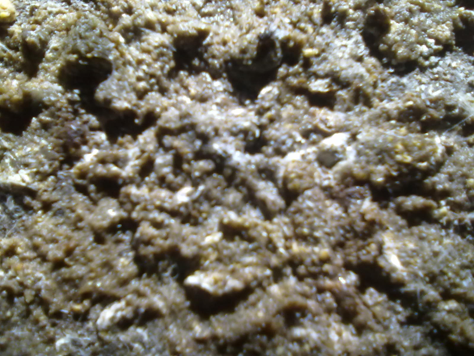 20111209342.jpg