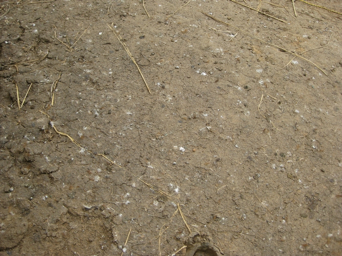 IMG_7638.jpg
