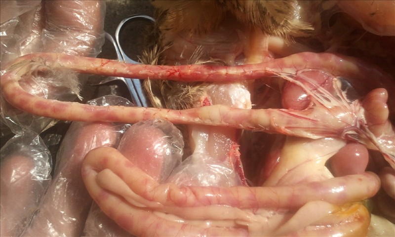 C360_2011-12-0412-43-34.jpg