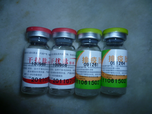 Ƭ 017.jpg
