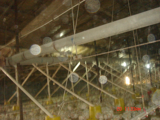 DSC07064.JPG